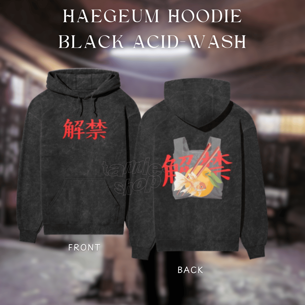 Image of HAEGEUM HOODED SWEATSHIRT