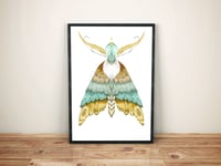 Image 1 of · CIELO ·