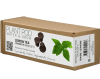 Lemon Tea - Plant Pod | Pack of 3