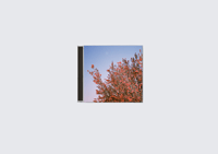 MICHAEL HOWELL 'SUNLAP 28' CD Pre-order