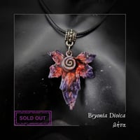 Image 6 of ☽ Bryonia Dioica ☾