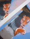 A head filled with tigers... A3 Screenprint