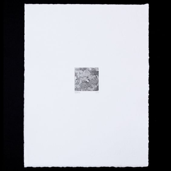 Image of A SERIES #01 / Paul Du Bois-Reymond
