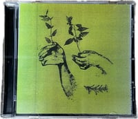 Rosemary nods upon the grave EP 1 CD