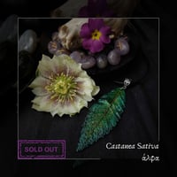 Image 3 of ☽ Castanea Sativa ☾