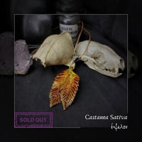 Image 5 of ☽ Castanea Sativa ☾