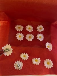 Image 3 of Hair Daisies Gift Box