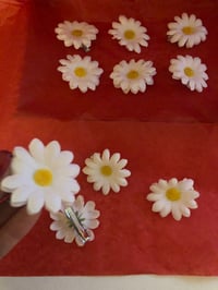 Image 4 of Hair Daisies Gift Box