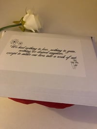 Image 2 of Hair Daisies Gift Box