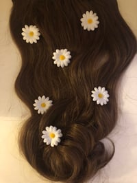 Image 1 of Hair Daisies Gift Box