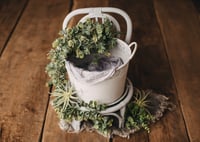 Image 2 of Set with lavender, eucalyptus and cacti