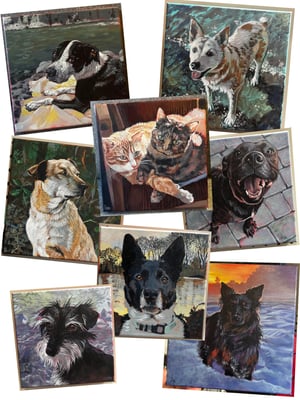 Pet Portraits