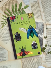 Image 4 of Insecta Green Notebook 