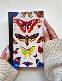 Image 1 of Moka Lepidoptera Notebook 