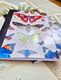 Image 3 of Moka Lepidoptera Notebook 