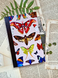 Image 4 of Moka Lepidoptera Notebook 