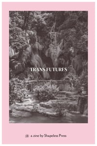 TRANS FUTURES