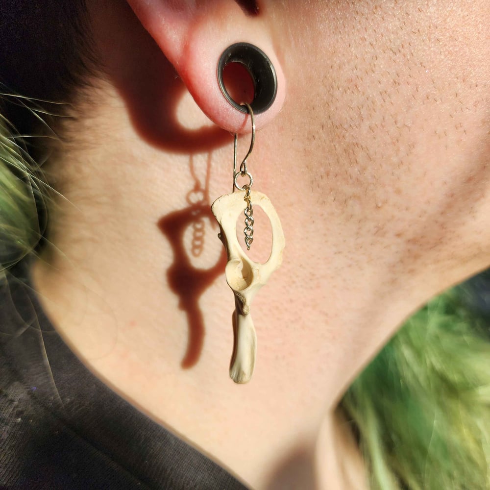 Image of squirrel hip bone earrings