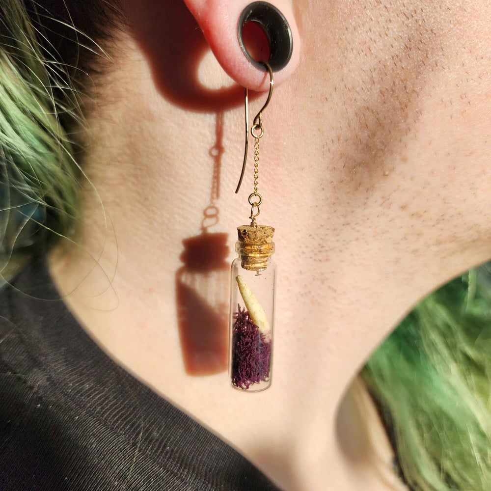 Image of mossy raccoon canine & bead earrings