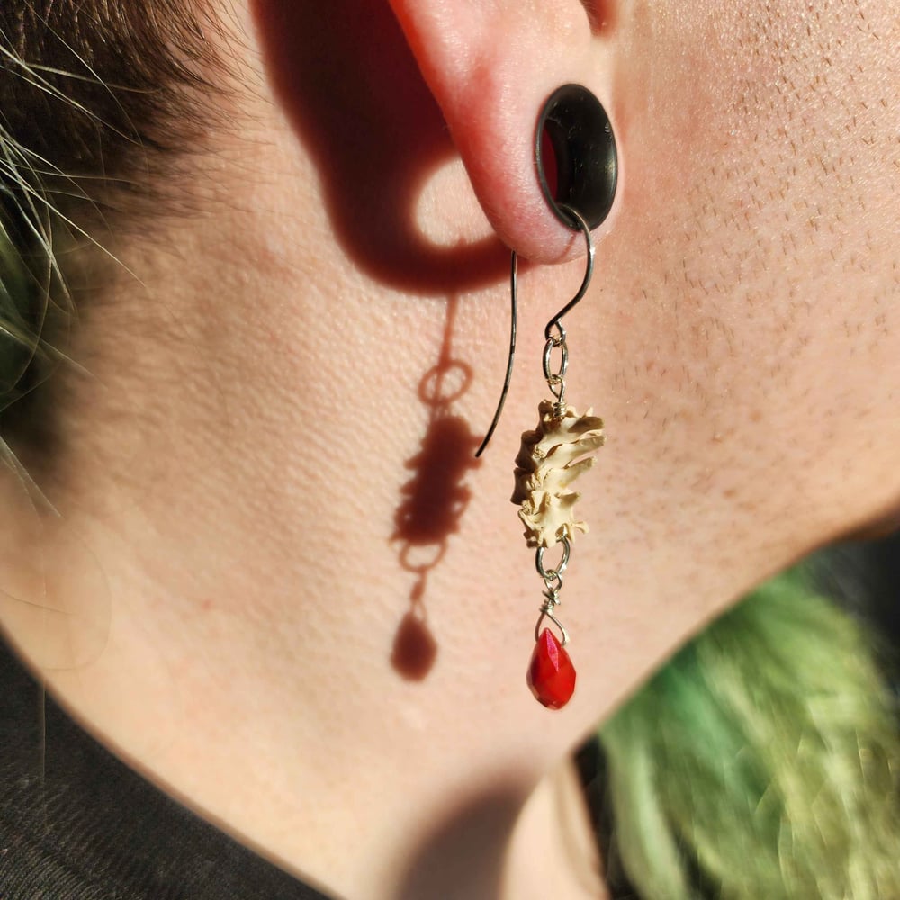 Image of silver squirrel vertebrae earrings
