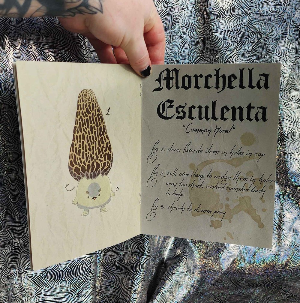 Image of fungi field guide