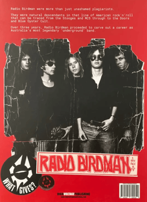 Image of RADIO BIRDMAN ~ When The Birdman Flew