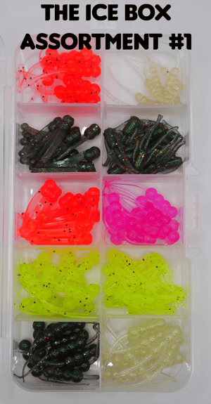 Image of "The Ice Box" 100 Bait kit