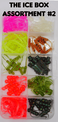 Image 2 of "The Ice Box" 100 Bait kit