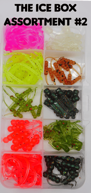 Image of "The Ice Box" 100 Bait kit
