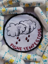 Fiche tempestose - Patch