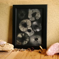 15x20 Sporeprint B&W