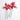 Epingles Corail rouge