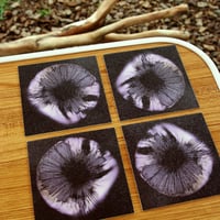 Mushroom Sporeprint Coaster