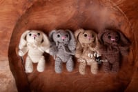 Image 1 of Little rabbit natural colors