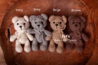 Image 2 of Little teddy natural colors