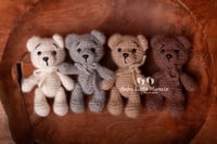 Image 1 of Little teddy natural colors