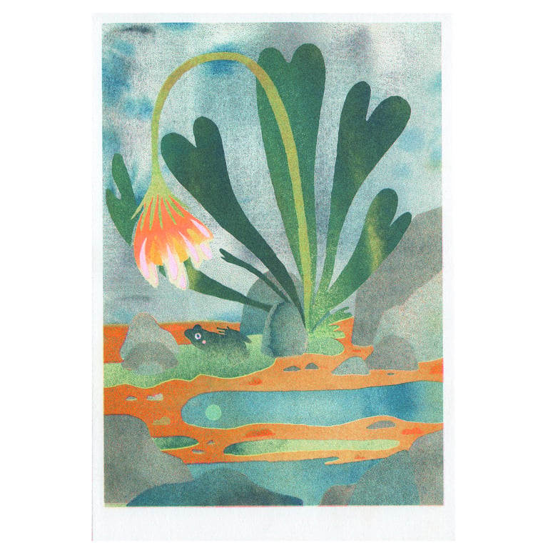 Risographie Grenouille