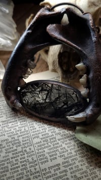 Image 2 of Cat Jawbone and Crystal Teeth Power Amulet