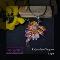 Image 3 of ☽ Polypodium Vulgare ☾