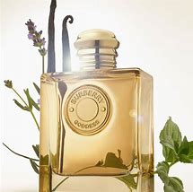 Image of Burberry Goddess