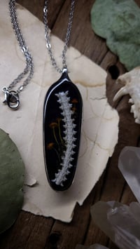 Image 4 of Mushroom and Spine Pendant