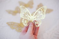 Image 2 of Gold butterfly petals 