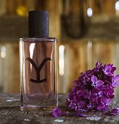 Image of YELLOWSTONE TORNADO (TYPE)