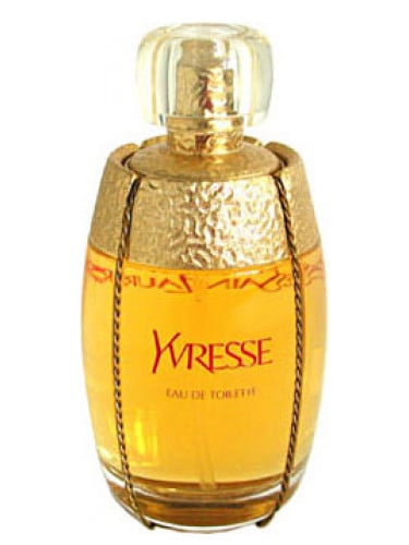 Image of YSL (TYPE) WOMEN