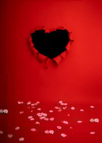 Image 5 of Valentines Day Mini Session Deposit
