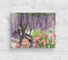 Chinese Wisteria and Peach Irises - 8” X 10” Canvas Print