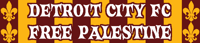 Image 2 of Free Palestine x Detroit City FC Charity Scarf
