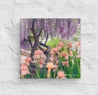 Image 2 of Chinese Wisteria and Peach Irises - 8” X 8” Canvas Print 