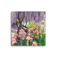 Image 1 of Chinese Wisteria and Peach Irises - 8” X 8” Canvas Print 