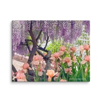 Image 1 of Chinese Wisteria and Peach Irises - 11” X 14” Canvas Print